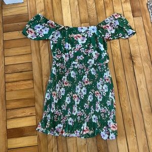 Trixxi fitted , off the shoulder spring dress